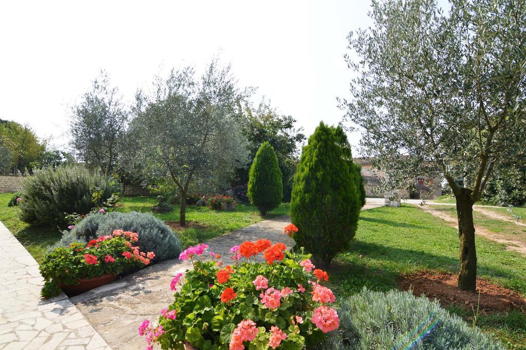 Garden Apartment Maria Vrsar Exterior foto