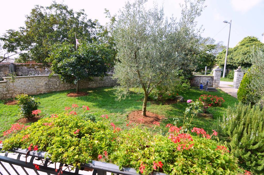 Garden Apartment Maria Vrsar Exterior foto